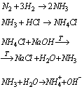 chemia azotowce