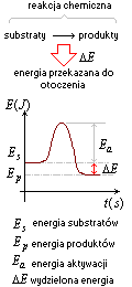 reakcja egzoenergetyczna