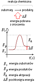 reakcja endoenergetyczna