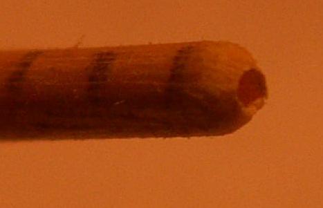 image008.jpg