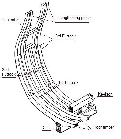 konstrukcja wręgi- framing the ship